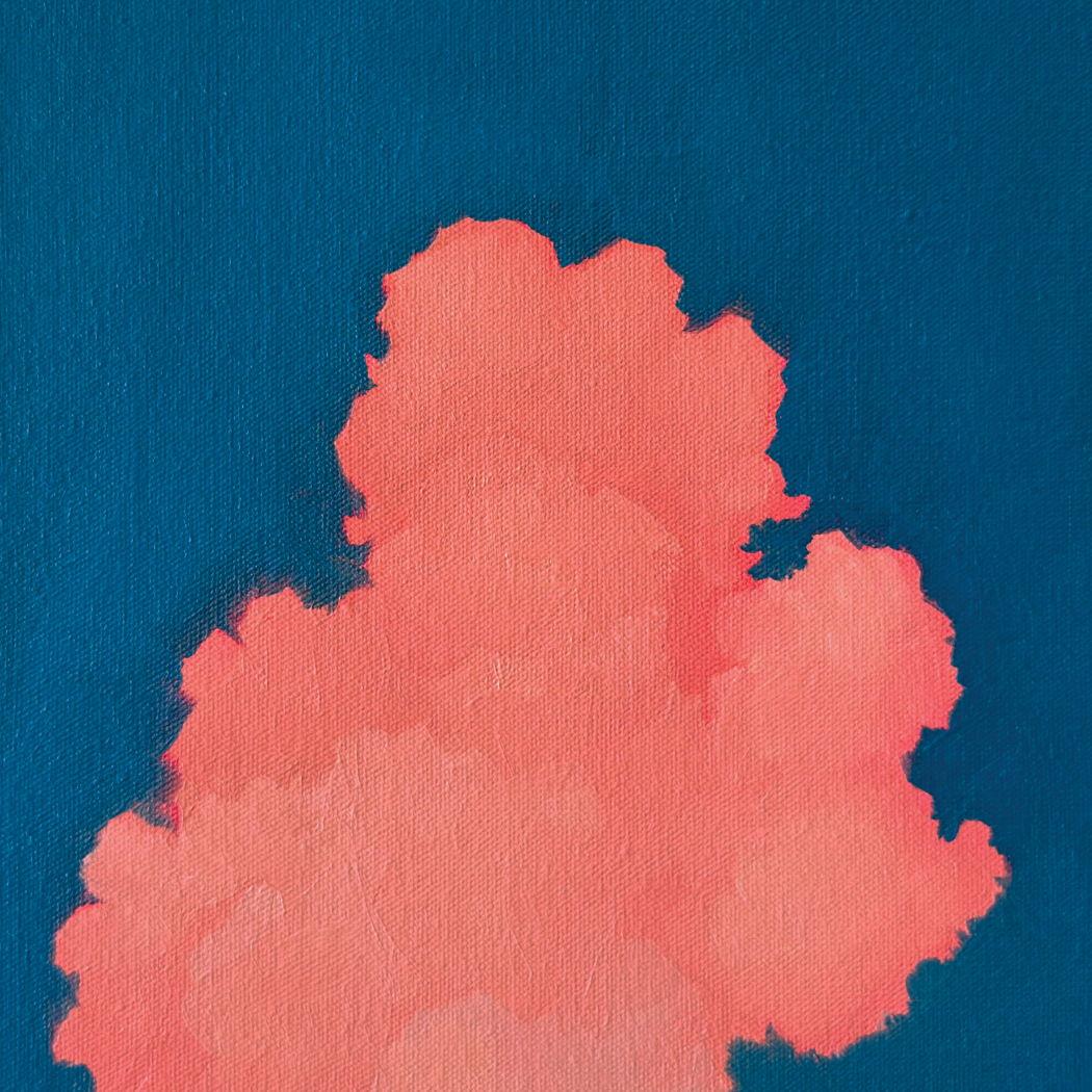 Start Over (Pink Elephant) (2025)
